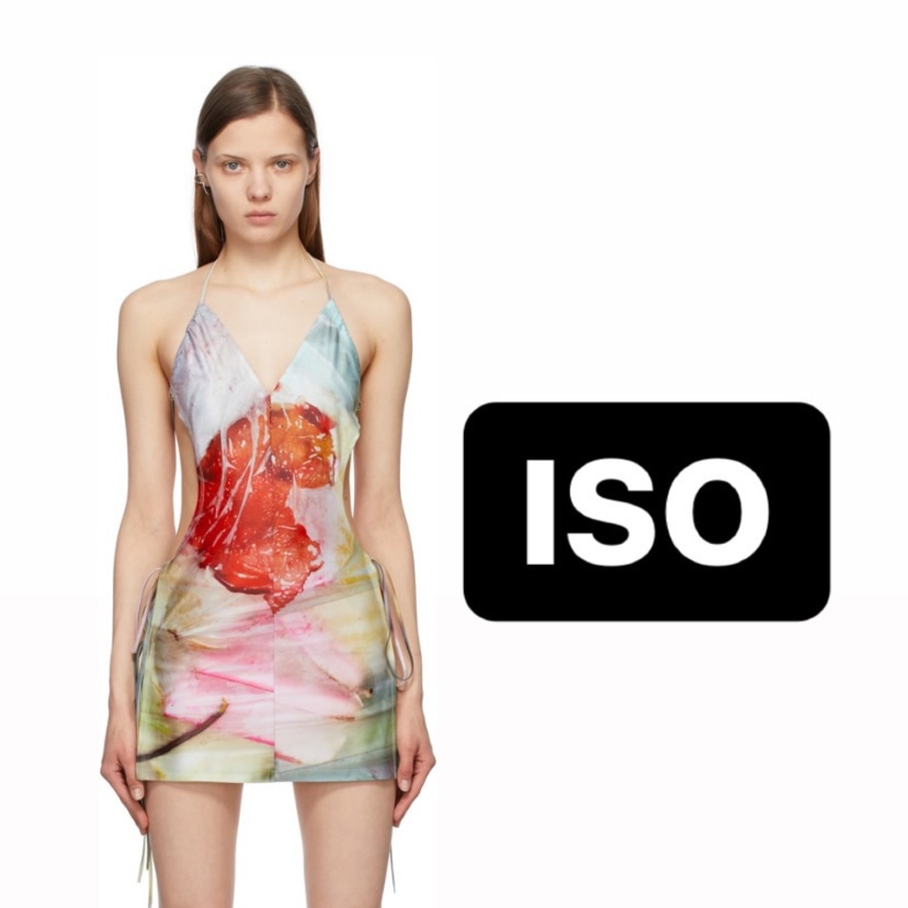 Charlotte Knowles Dress